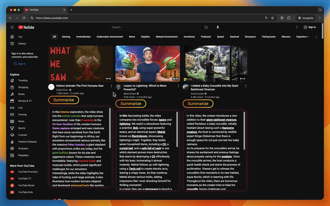 YouTube with summary overlay